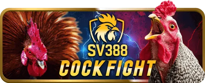 Hỗ trợ khách hàng mmm88 24/7